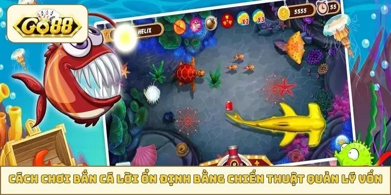 Cách chơi bắn cá lời ổn định bằng chiến thuật quản lý vốn