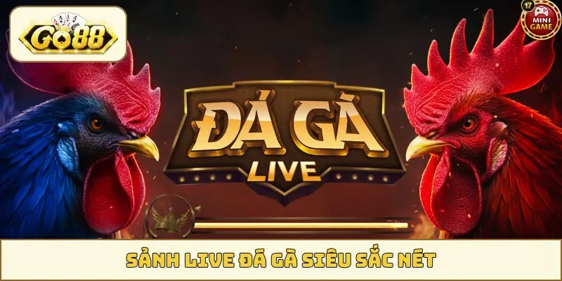Sảnh live đá gà siêu sắc nét