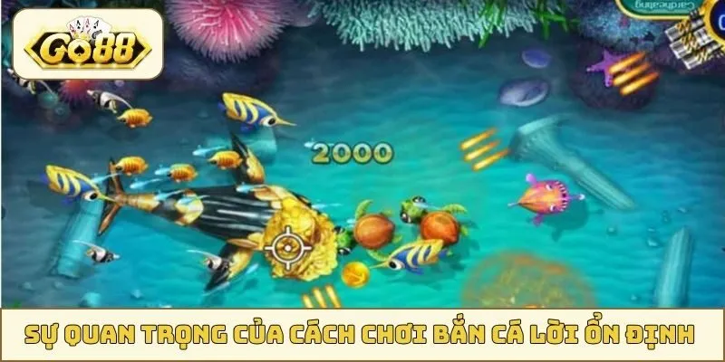 Sự quan trọng của cách chơi bắn cá lời ổn định